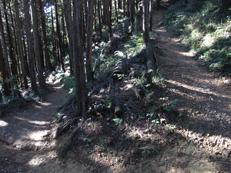 20151127hike (54)